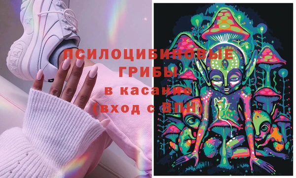 Альфа ПВП Армянск
